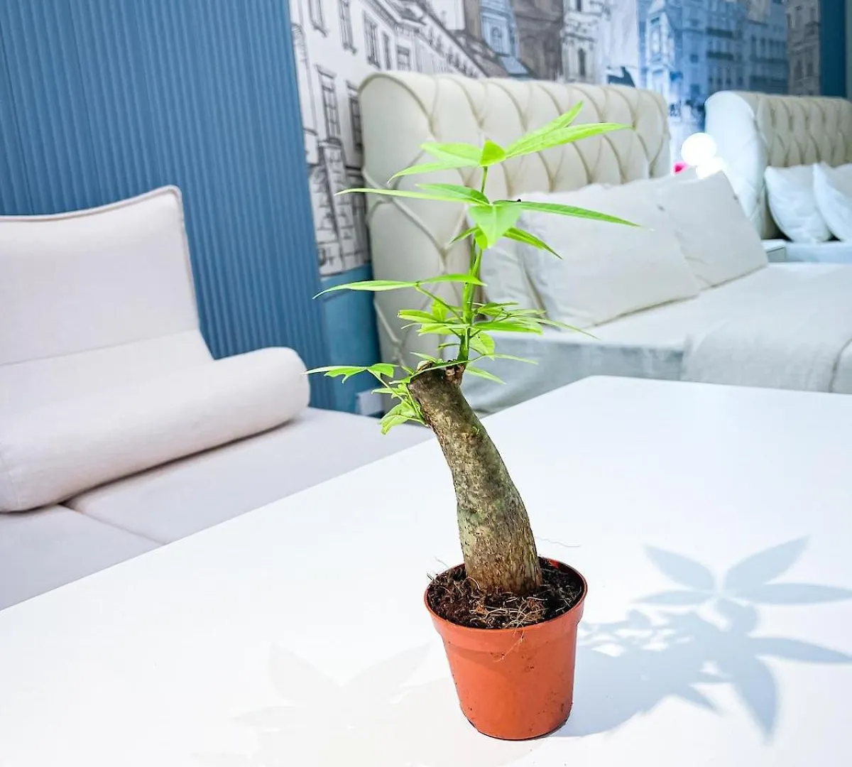 Luxury Penthouse Across City Of Dreams II 7Pax Manila Apartment
